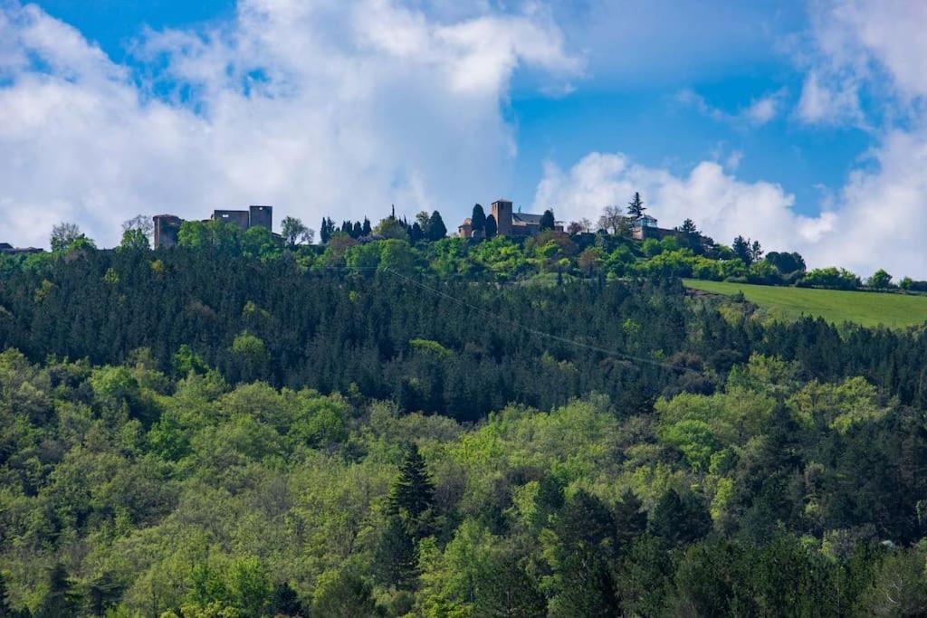 Villa Blanche, Contemporary, Cathars, Couiza, Carcassonne Eksteriør bilde